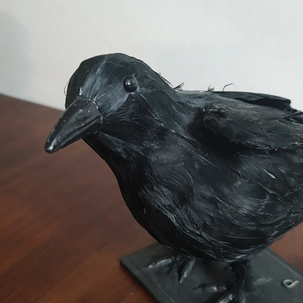 Black Raven Crow Sculpture Real Feathers Bird Halloween Decor Movie Set Prop - Picture 3 of 14